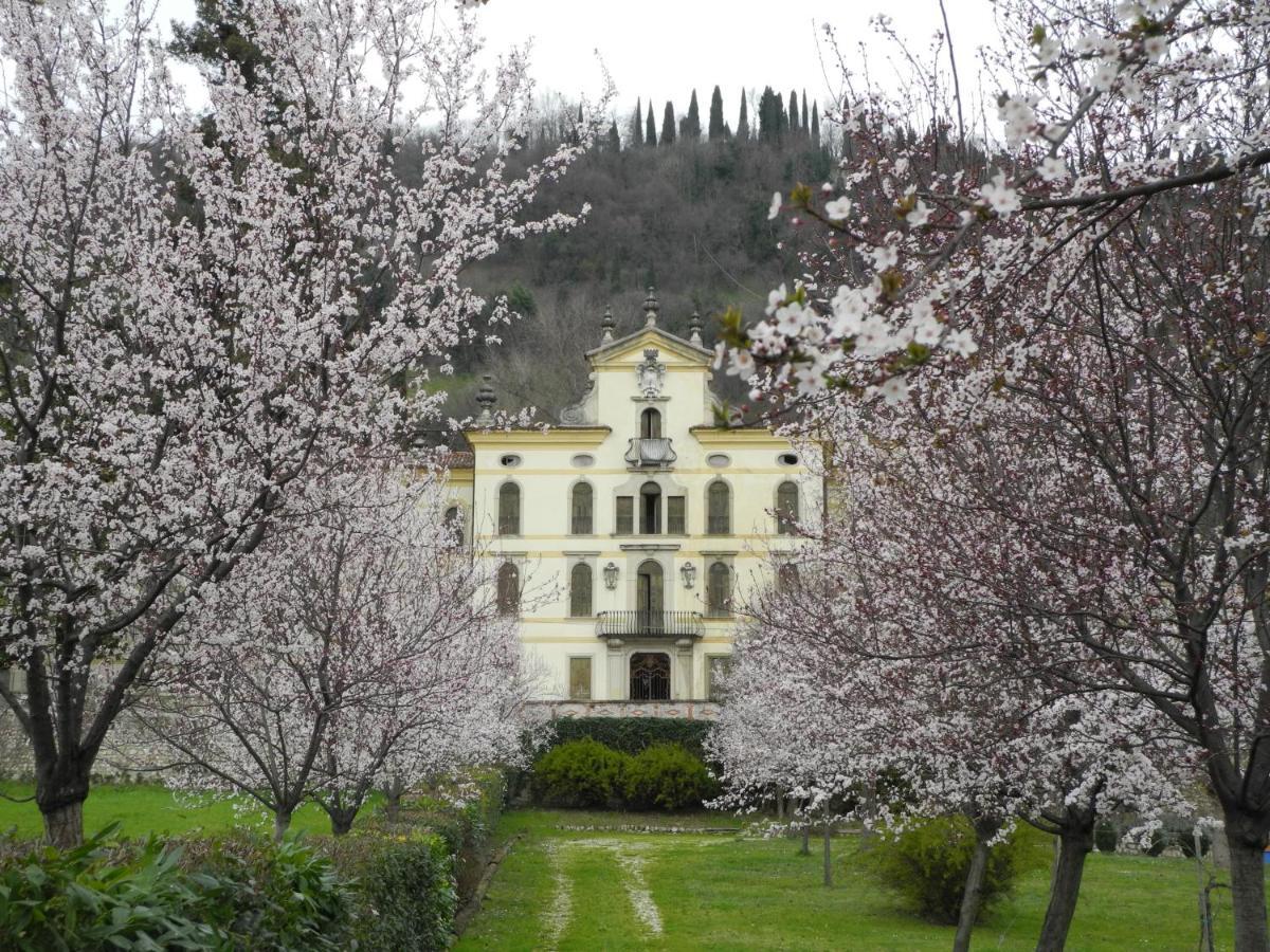 Casa Diso 2016 Apartman Vittorio Veneto Kültér fotó